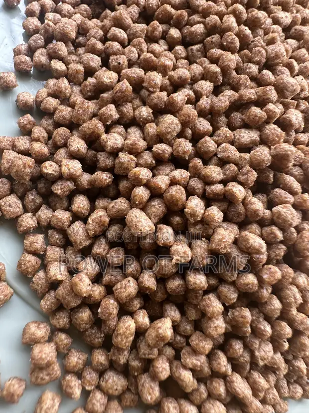 High Quality Protein Fish Feed - 1