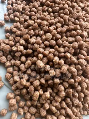 High Quality Protein Fish Feed
