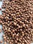 High Quality Protein Fish Feed - 1