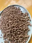High Quality Protein Fish Feed - 5