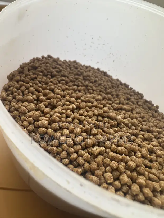 High Protein Fish Feed - 1