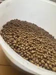 High Protein Fish Feed - 1