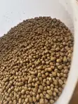 High Protein Fish Feed - 2