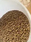 High Protein Fish Feed - 4