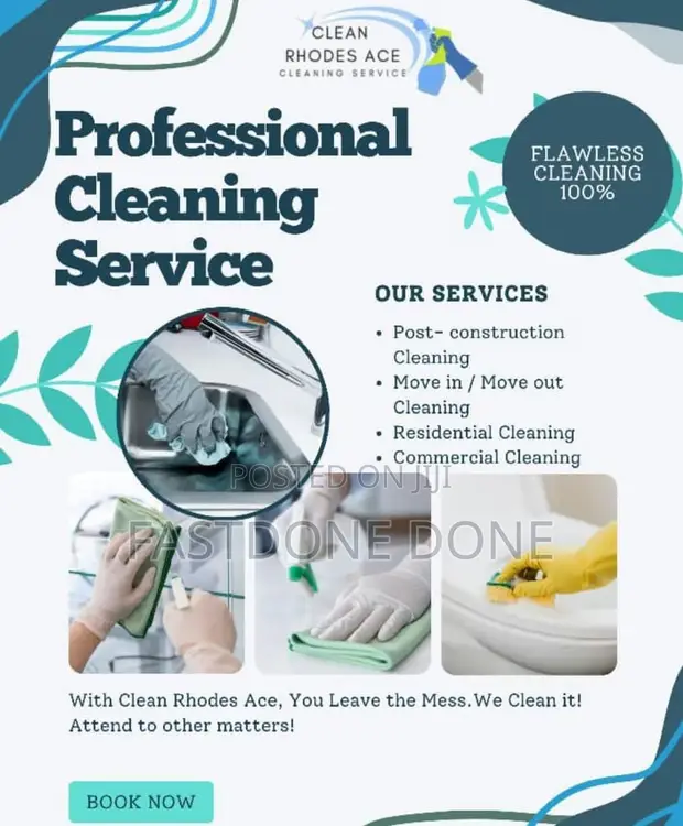 Professional Cleaning Services - 1