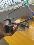 Fish Scoop Net - 3