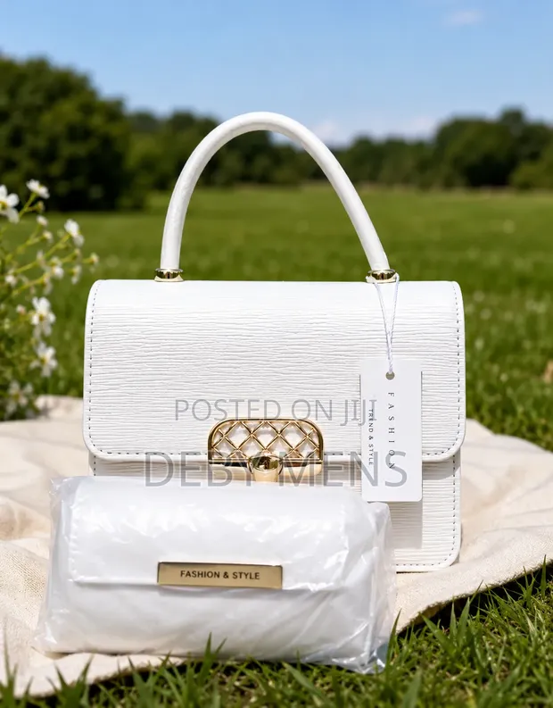 Ladies Stylish Handbags - 1