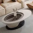 Sculptural Center Table with Black Glass Top - 2