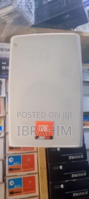 Professional Wall Speaker 8-inch
