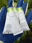 Hotel Shampoo for Guesthouses & Hotels - 30ml - 3