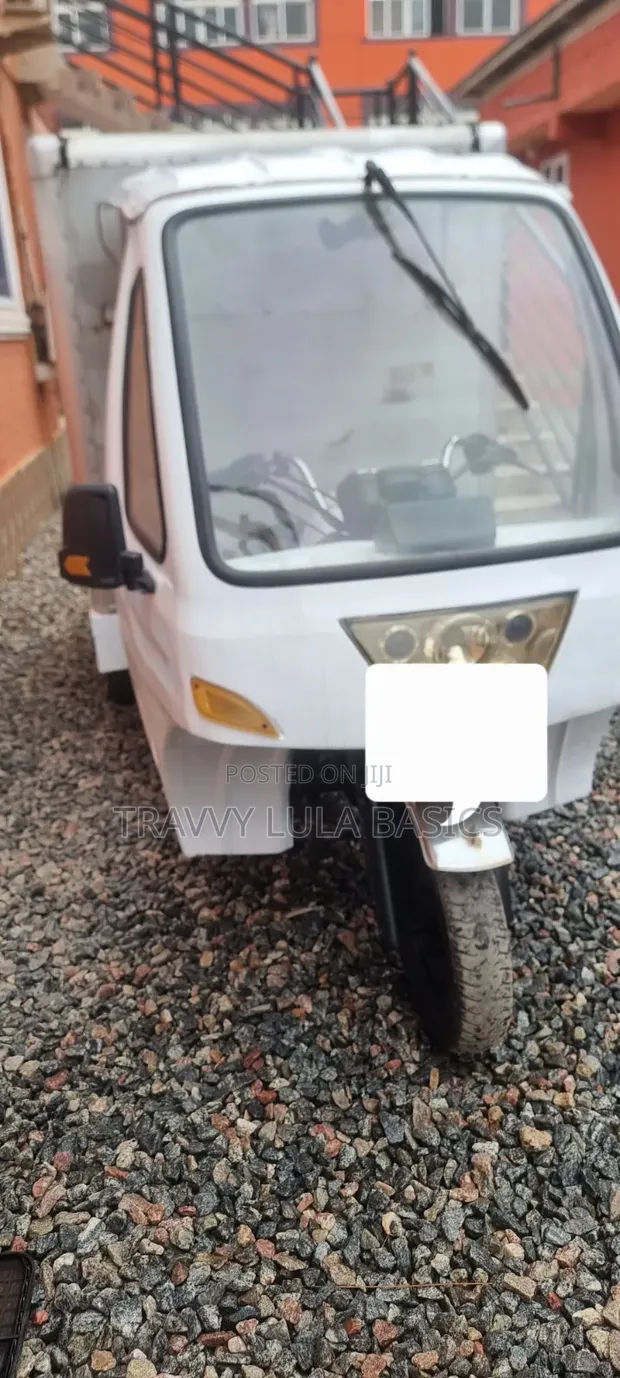 Motor King Box Van 2024 - 1