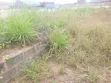 Residential Land for Sale at Kwaku Akrong Street - 5