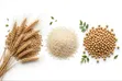 TRE-EN-EN Grain Concentrates - 2