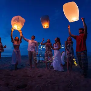 White Sky Lanterns (5pcs)