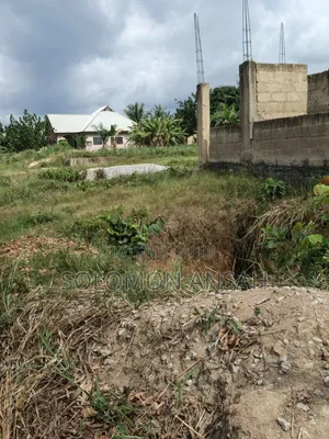 Two Plots with Proposed Guest House Structure for Sale at Abuontem