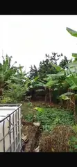 45x100 Titled Land for Sale in Oyarifa Mall Area - 2