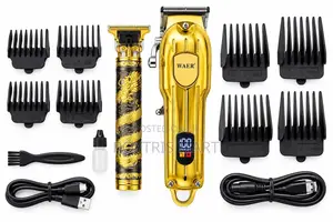 WAER Professional 2-in-1 Hair Clipper Set - Gold
