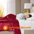 Visage Double Electric Blanket - 3