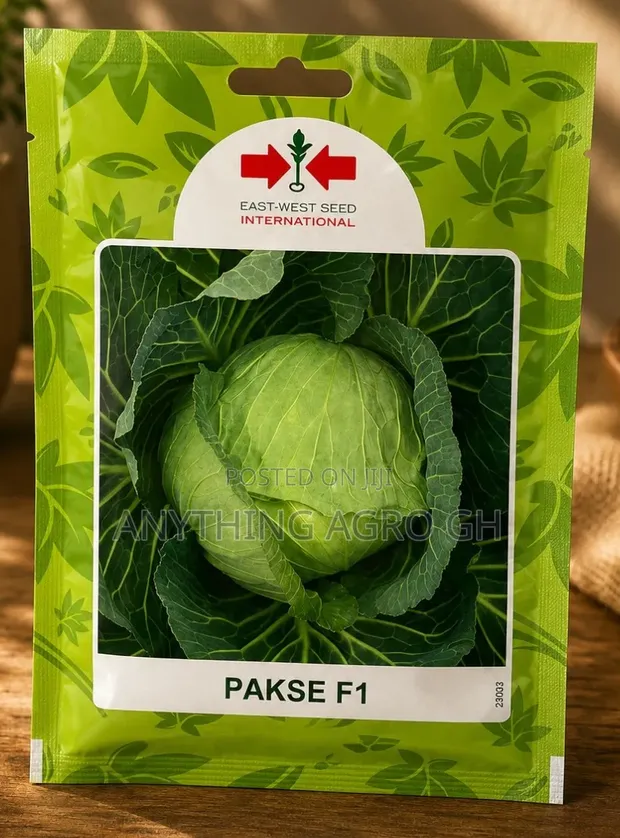 Hybrid Cabbage Seed (Pakse F1) - 10g - 1