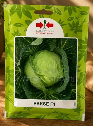 Hybrid Cabbage Seed (Pakse F1) - 10g
