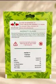 Hybrid Cabbage Seed (Pakse F1) - 10g - 2
