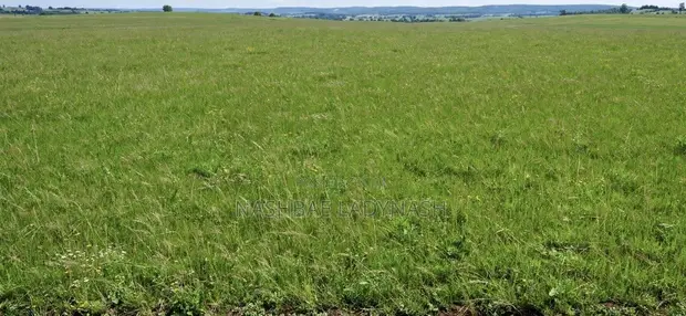 Plot for Sale at Bolga, Kalbeo Tindonsobligo - 1