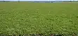 Plot for Sale at Bolga, Kalbeo Tindonsobligo - 1