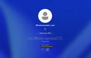 Windows 11 Password Removal Service