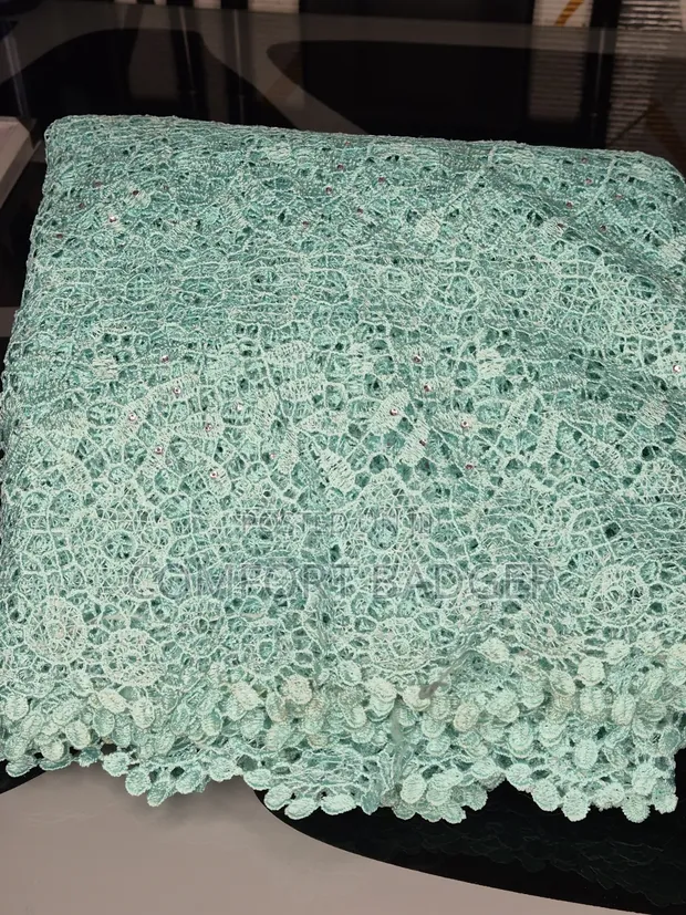 Mint Green Cord Guipure Lace with Stones - 1
