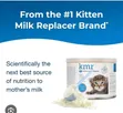 KMR Kitten Milk Replacer - 1