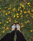 Adidas Adilette Aqua Slides - 3-Stripes Casual Slippers - 3