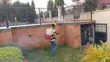 Cleantex Fumigation Service - EPA Licensed - 1