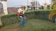 Way Out Fumigation with Cleantex - 4