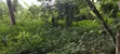 Farmland for Sale at Kwabere Kasaam - 1