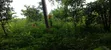 Farmland for Sale at Kwabere Kasaam - 5