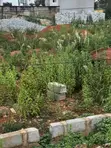 Titled Plot for Sale at Adenta, Housing Down - 2