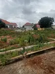 Titled Plot for Sale at Adenta, Housing Down - 3