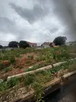 Titled Plot for Sale at Adenta, Housing Down - 4