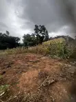 Fully Registered Plot for Sale at Adenta Ritz Junction - 4