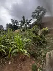 Fully Registered Plot for Sale at Adenta Ritz Junction - 5