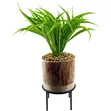 Leaf Artificial Grass in Ceramic Planter with Metal Stand (35cm) - 1