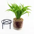 Leaf Artificial Grass in Ceramic Planter with Metal Stand (35cm) - 3