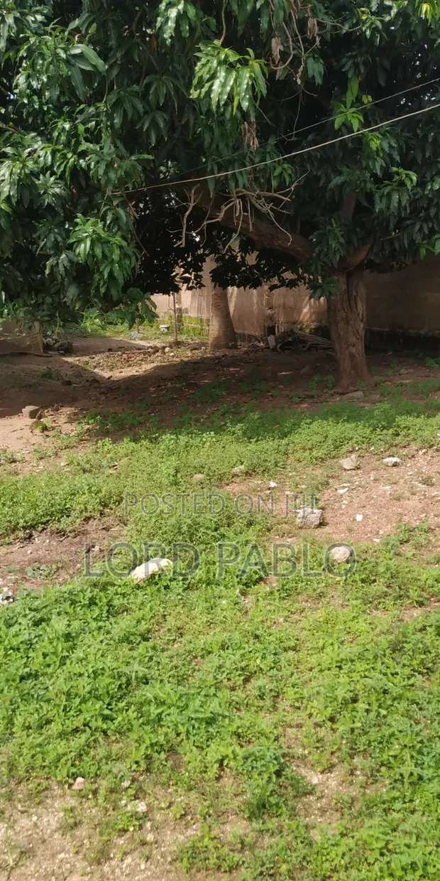 Quarter Plot of Land for Sale at Amasaman Fise - 1