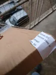 Mitsubishi Outlander 2023 Back Door Moulding - 4