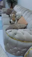 Used Modern Sofa Chairs Set - 1