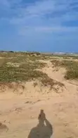 Titled Beachfront Land for Sale - Old Ningo, Ningo-Prampram (85 Plots) - 4