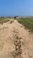 Titled Beachfront Land for Sale - Old Ningo, Ningo-Prampram (85 Plots) - 5