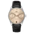 IWC Portugieser Automatic 42 Sand Dune (New Release) - 2