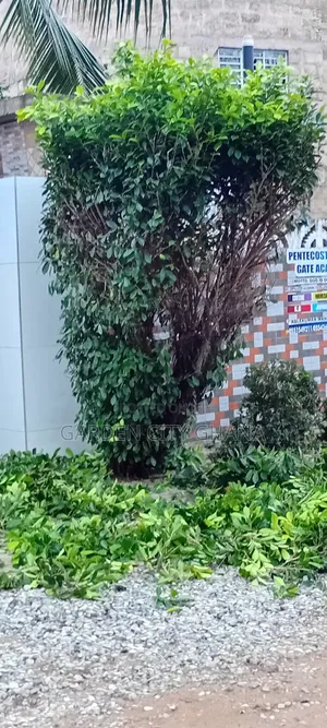 Garden City Landscaping & Gardening Services
