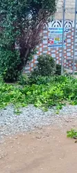 Garden City Landscaping & Gardening Services - 2